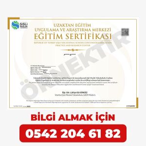 KENT İÇİ RAYLI SİSTEM ARAÇLARI ELEKTRİK-ELEKTRONİK BAKIM VE ONARIMCISI SERTİFİKASI